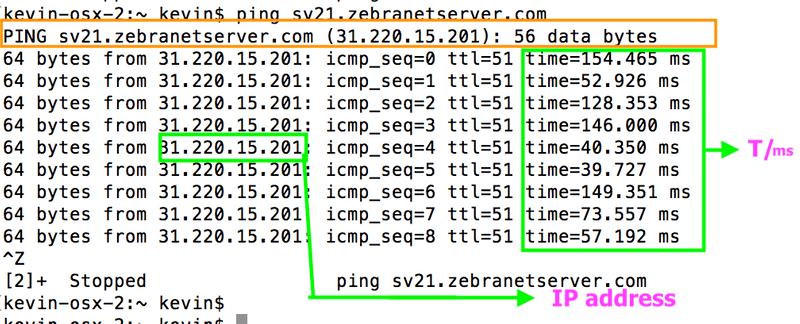 پینک سرور وی پی ان