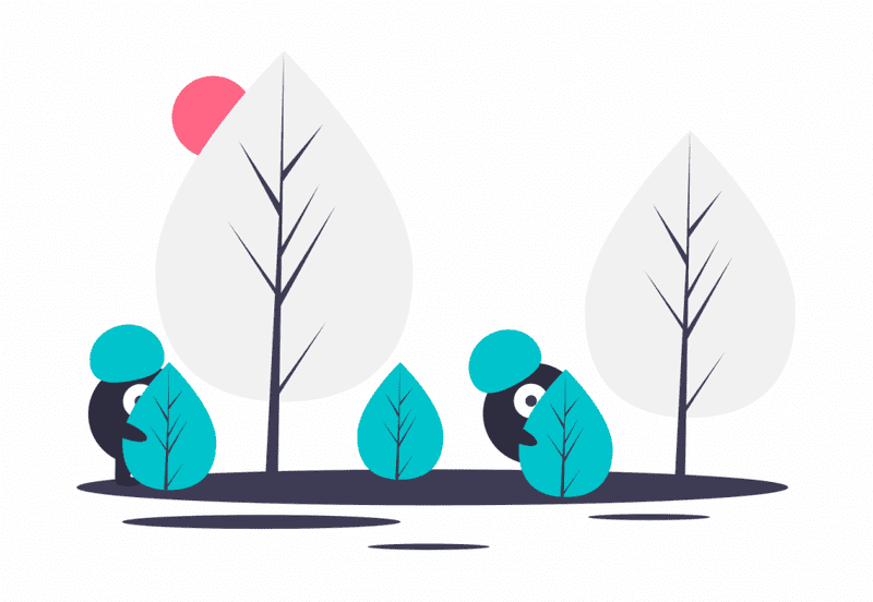 the step of filter_zebravpn-1024x706