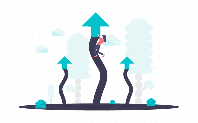 update zebravpn 1024x637